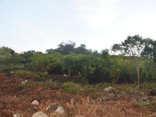 MLS 28841 LOT 13 GREENSIDE TRELAWNY, Trelawny, Jamaica - Residential lot for Sale